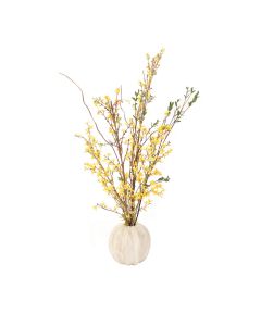 Yellow Forsythia in White Pumpkin Shaped Planter