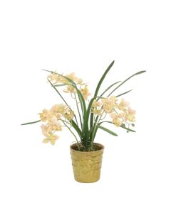 Light Green Mini Orchids in Small Green Ceramic Pot