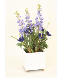 Blue Delphinium with Blue Crocus Plant and Bouganvillea in White Planter
