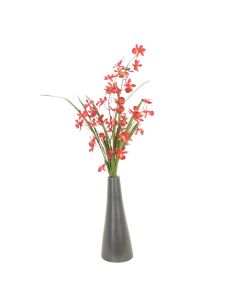 Red Oncidium Orchid in Small Wooden Vase