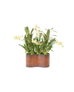 Lilies w Blades in Woven Rectangular Basket