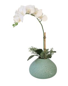 White Phalaenopsis Orchid in Turquoise Vase