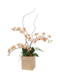 Phalaenopsis Orchids Mixed with Maidenhair Fern and Orchid Foliage