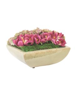 Hydrangea and Crocus Planting in Square Planter