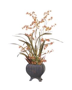 Gold Brown Oncidium Orchids with Pods, Platys Cone, Palm Paddles in Decorative Planter