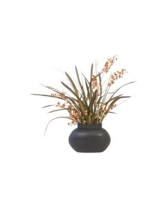 Oncidium Orchids with Foliage in Brown Planter