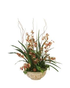 Oncidium Orchids Garden Mix in Porcelain Bowl