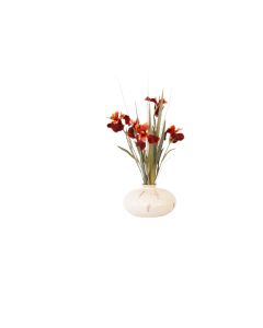 Rust Iris in Round Beige Planter