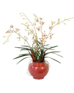 Vanda Orchids, Foliage Mixed with Dried Spiral Cones and Palm Paddles