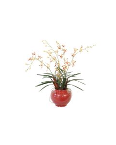 Vanda Orchids, Foliage Mixed with Dried Spiral Cones and Palm Paddles