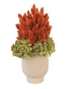 Coral Phalaris, Green Hydrangea in Beige Planter