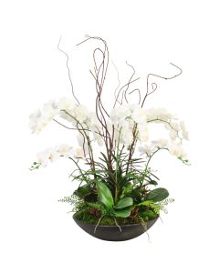 White Phalaenopsis in Bronze Stoneware