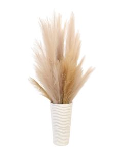 Pampus Grass in Cream White Vase