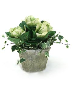 Kale in Flower Pot