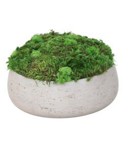 Moss planting in Grey Fiberstone Bowl