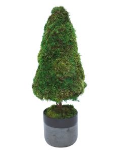 Preserved Moss Topiary in Black Ceramic Planter