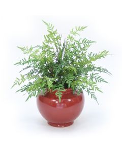 Natural Touch Fern Bush in Rust Red Planter