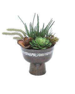 Succulent Garden in Gun Metal Planter