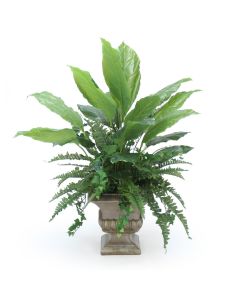 Greenery in Classic Urn