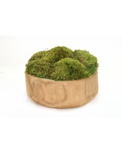 Mood Moss in Wooden Bowl