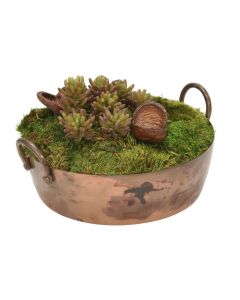 Succulent Garden in Metal Round Planter