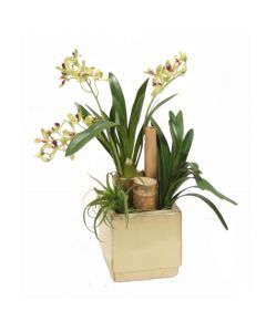 Vanda Orchids with Bamboo and Succulents in Beige Planter