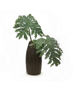 Lacy Philodendron Leaves in Pencil Rattan Basket