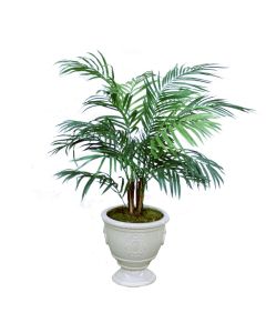 Palm in Beige Urn