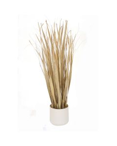 Rush Natural Grass with Fountain Grass in White Pot