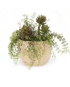 Succulents with Button Fern in Beige Planter