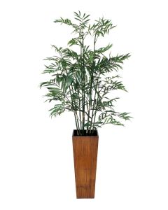 Bamboo in Crushed Bamboo Planter