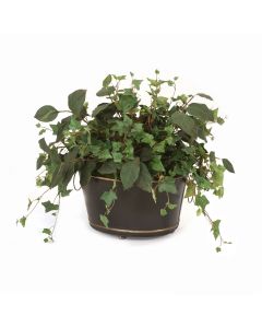 Ivy and Bayleaf in Oval Tole Planter