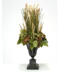 Natural Sarracenia, Grass, Millet and Hydrangeas in Metal Urn