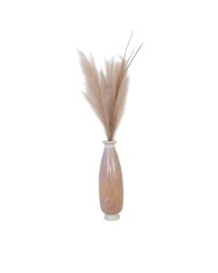 Pampas Plumes in Light Colored Vase