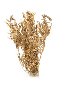 Antique Gold Preserved Bundle (Sold in 4 Bundles Sets)