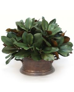 Magnolia in Vintage Copper Pot