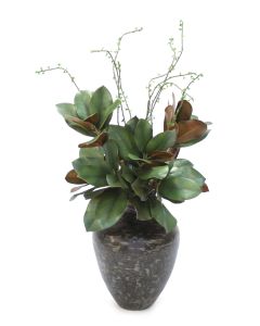 Magnolia Leaves in Vase