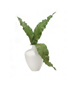 Anthurium Leaves in White Vase