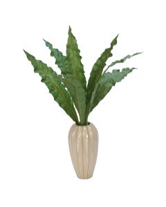 Anthurium Leaves in Tall Earthenware Vase