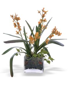 Cattleya Orchids with Orchid Foliage in Glass Vase