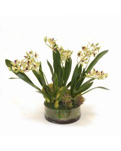 Amethyst Green Vanda Orchid in Low Round Glass