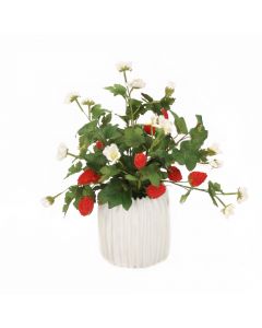 Strawberries and Hedera Ivy in White Ribbed Planter
