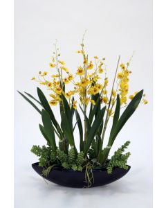 Gold Oncidium and Succulents in Black Oval Ceramic Planter
