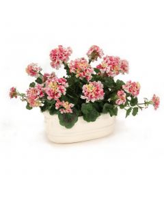 Pink Geraniums in White Lions Head Planter