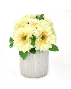 Gerber Daisy in White Haven Pot