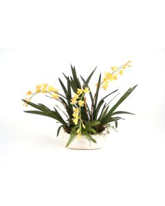 Gold Yellow Orchids with Fern and Pods In Ivory Oval Planter