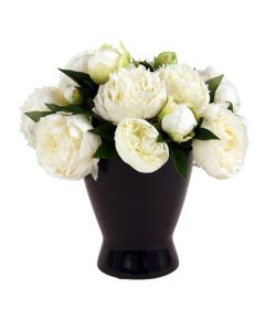 White Peony in Black Pot