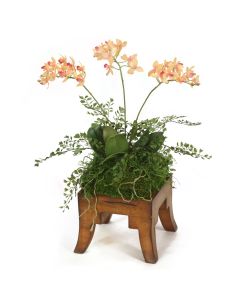 Mini Orchids in Wooden Square