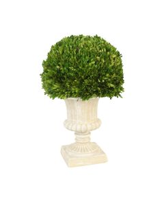 25" Round Boxwood in Taupe Urn