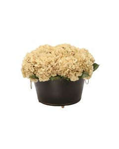 Beige Hydrangea in Black Oval Planter with Gold Trim